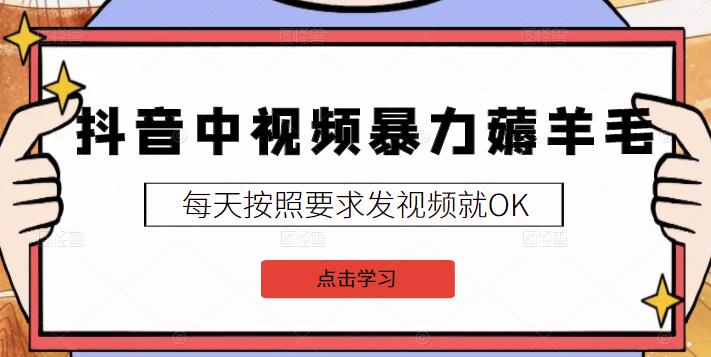 京东短视频带货项目：每天操作2小时，月收益3000+副业项目-价值1988元-点点短视频网
