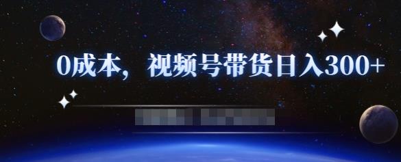 零基础视频号带货赚钱项目，0成本0门槛轻松日入300+【视频教程】￼-点点短视频网