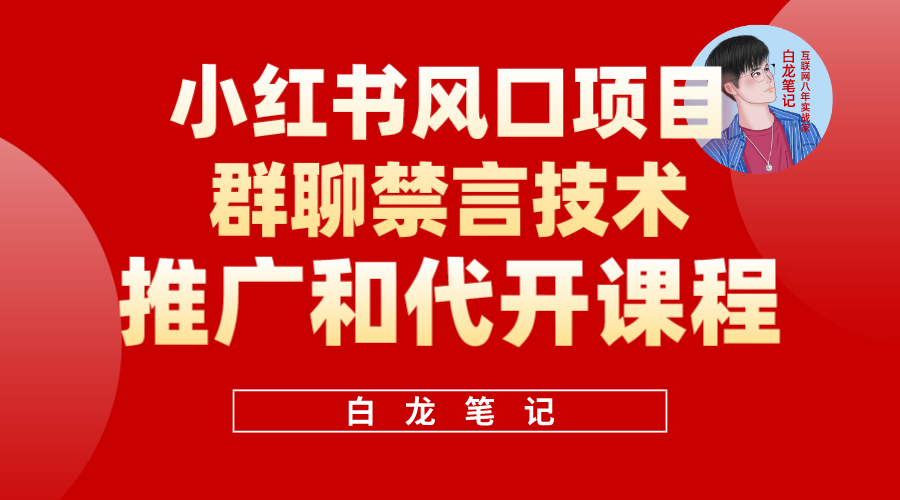 小红书风口项目日入300+，小红书群聊禁言技术代开项目，适合新手操作-点点短视频网